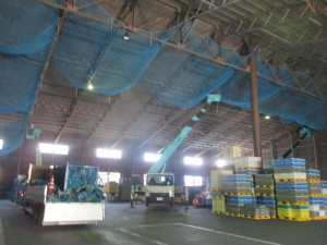 IMG_1072