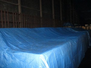 IMG_1151