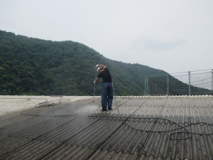 IMG_1255