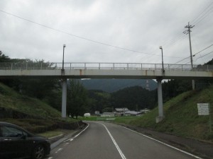 IMG_3055