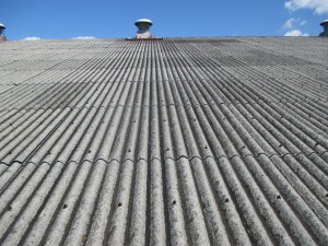 IMG_1152