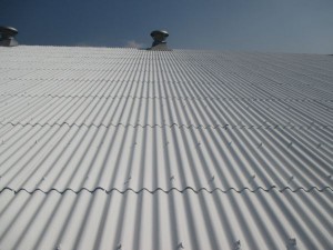 IMG_1844