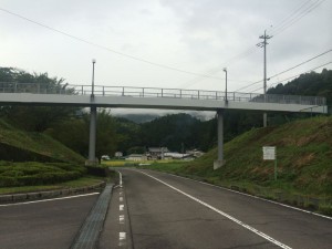 IMG_1581