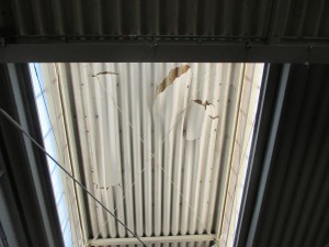 IMG_0925