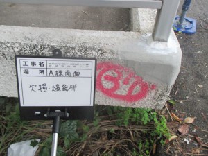 IMG_2703