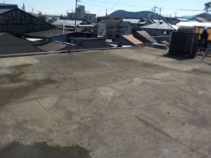 DSCN0003