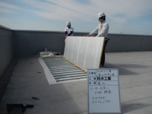 DSCN5768