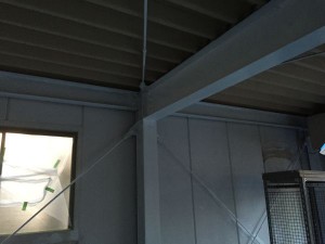 IMG_0438