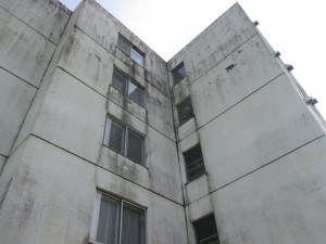IMG_1887