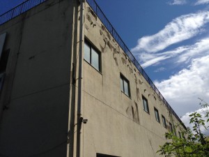 IMG_5955