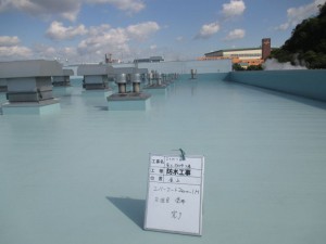 IMG_0194