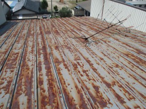 IMG_0395
