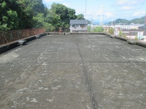 IMG_2013