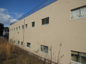 IMG_3389