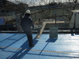 邵ｮ蟆十繝上ヤ繝ｪ縲迥ｶ豕√∝ｮ御ｺ・IMG_0817