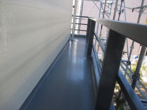 IMG_3897