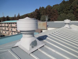 IMG_5638