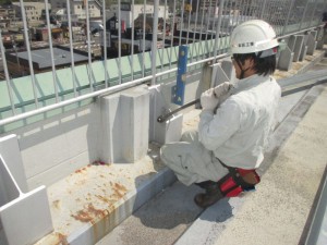 IMG_4436