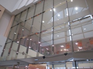 IMG_0061