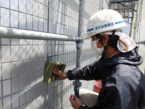 IMG_4245